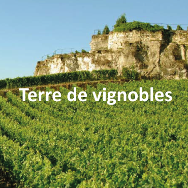 La Gironde une terre de vignobles